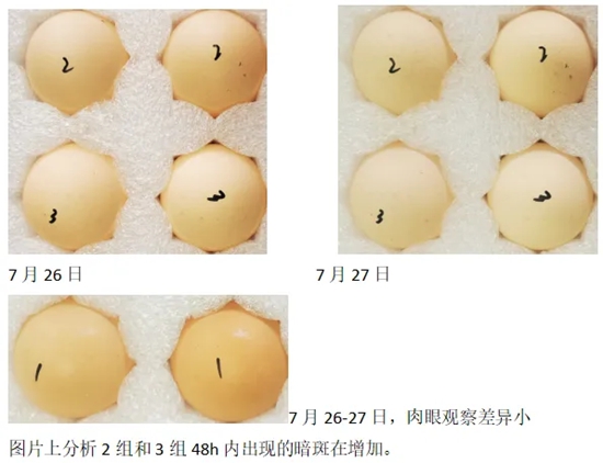 未命名_副本.jpg 图片